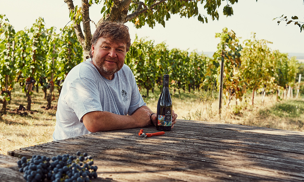 gesellmann portraet weingarten 1