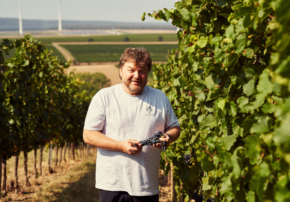 gesellmann portraet weingarten 2