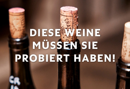 Nahaufnahme von Weinflaschen mit Korken, verschwommener Hintergrund.