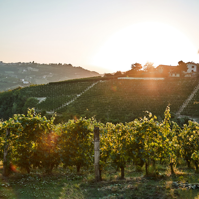 italien in bewegung teaser