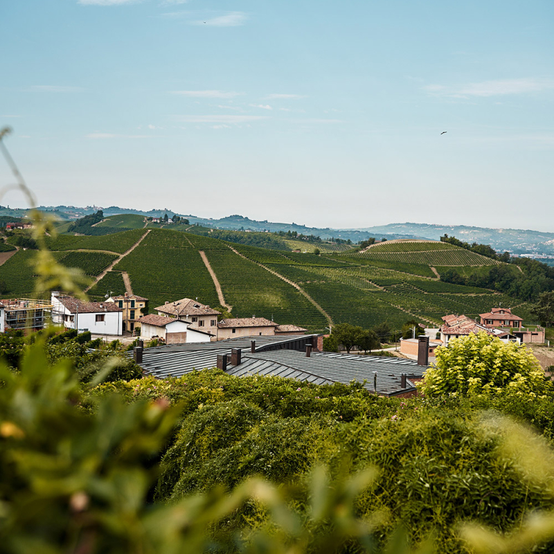 italien rotwein 2024