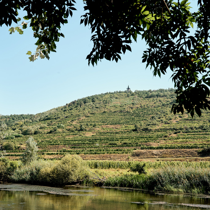 jurtschitsch heiligenstein