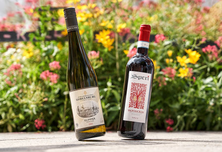 Zwei Weinflaschen stehen auf einem Weg vor blühenden Blumen im Hintergrund.