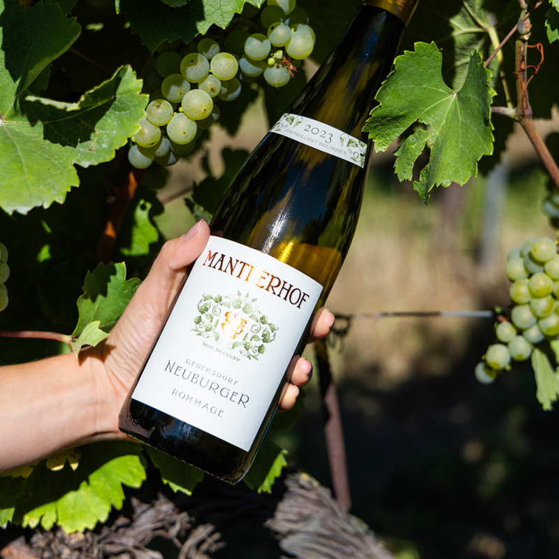 mantlerhof neuburger