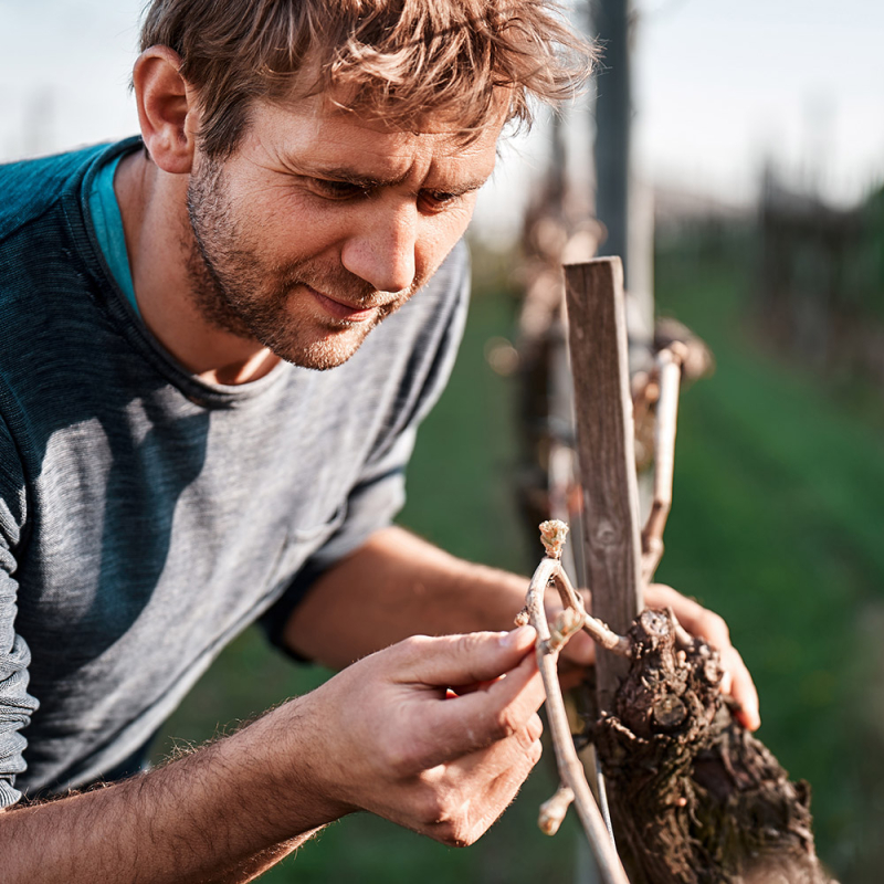 markus huber portrait