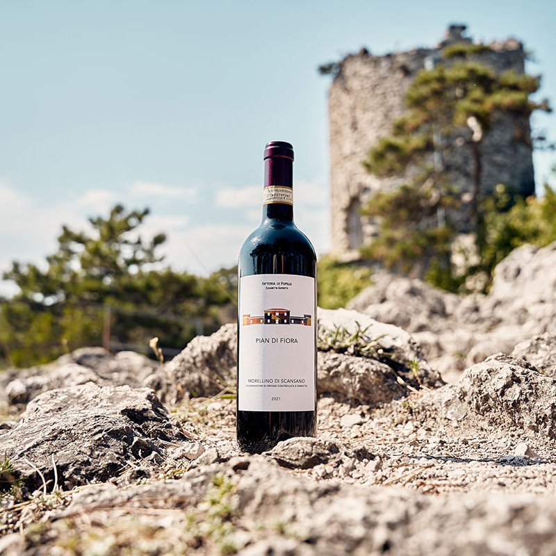 morellino di scansano