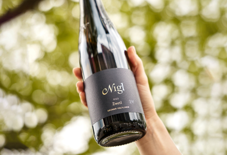 Flasche mit schwarzem Etikett vor verschwommenem, grünem Hintergrund.