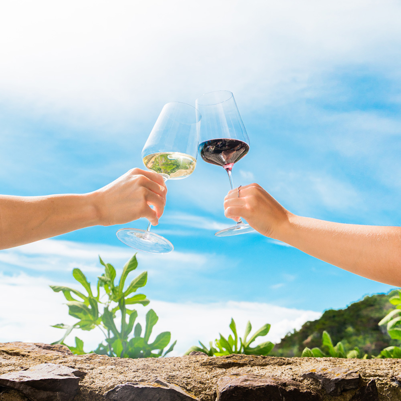 portugal niepoort leichte