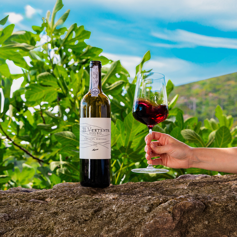 portugal niepoort vertente