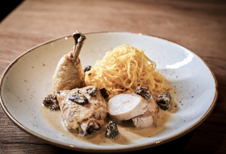 Elegantes Gericht mit Hähnchen, Sahnesauce, Morcheln und Nudeln auf weißem Teller.