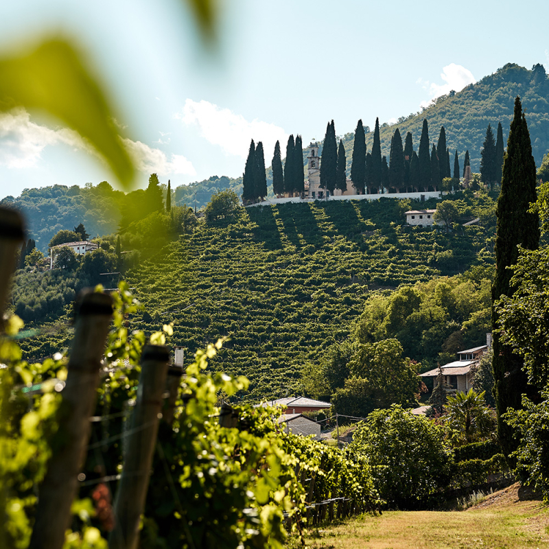 prosecco prickelndes italien