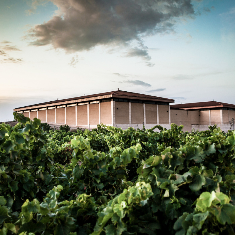 rioja Bodega Marques del Silvo Winery