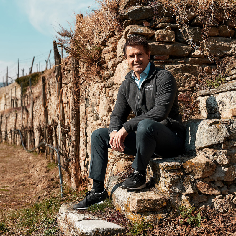 roman horvath portrait