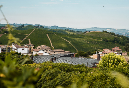 Hügelige Landschaft mit grünen Weinbergen und Dörfern im Hintergrund.