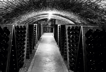 Historischer Weinkeller mit Flaschenregalen in einem gewölbten Backsteintunnel.