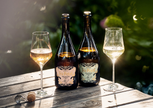 Zwei Weinflaschen und Gläser auf Holztisch im Garten, warmes Sonnenlicht.