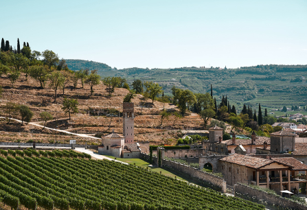 Malersiche Weinlandschaft mit historischem Turm und sanften Hügeln im Hintergrund.