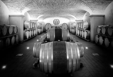 Schwarz-weiß-Foto eines Weinkellers mit gestapelten Holzfässern und Gewölbedecke.