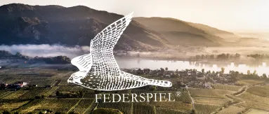 Gezeichneter Falke über malerischer Weinlandschaft mit Fluss und Bergen im Sonnenaufgang.