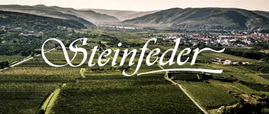 Grüne Weinberge und eine Stadt im Tal, umgeben von bewaldeten Hügeln.