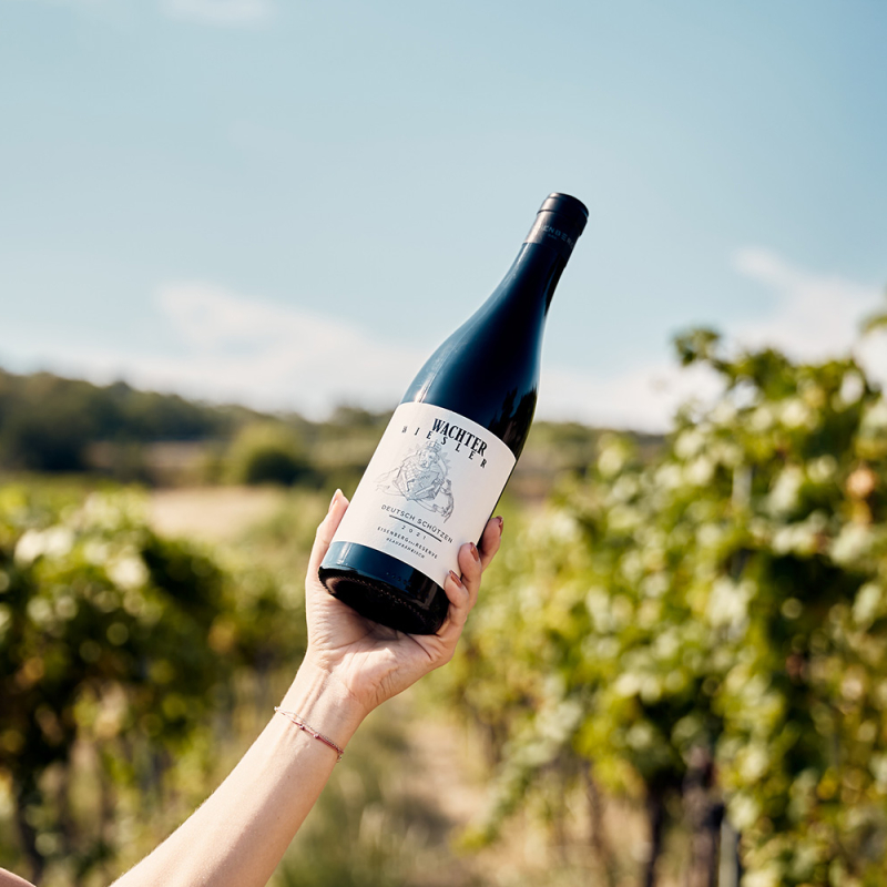 wachter wiesler blaufraenkisch