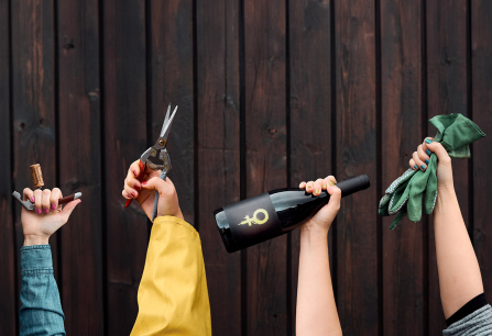 Vier Hände halten Weinflasche, Korkenzieher, Gartenschere und Gartenhandschuhe vor Holzwand.
