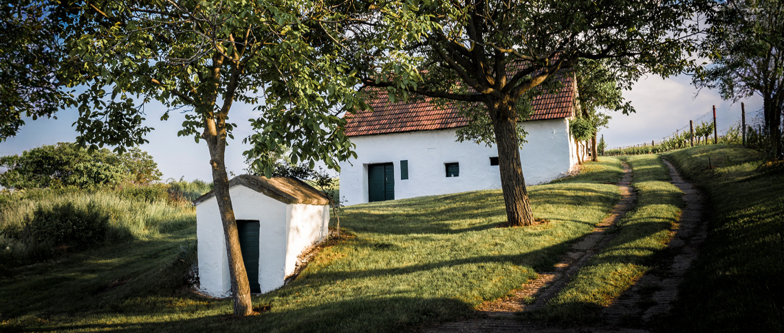 Weißes Haus mit rotem Dach, umgeben von Bäumen und Wiese, bei Sonnenuntergang.