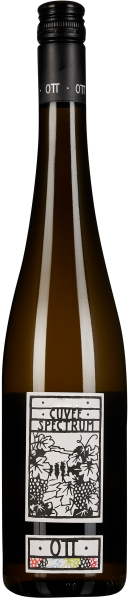 Braune Weinflasche mit schwarzem Schraubverschluss, schlichtem Etikett mit stilisiertem Traubendesign und geometrischen Akzenten.