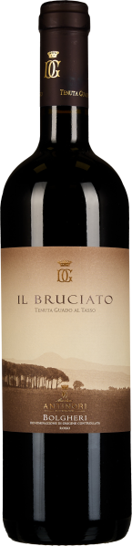 Dunkle Weinflasche mit einem eleganten Etikett, das sepiafarbene Landschaftsmotive und goldene Details zeigt.