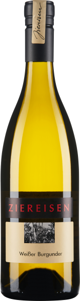 Die Weinflasche besitzt ein schlankes, elegantes Design mit einem klaren, goldgelben Inhalt, der durch das Glas schimmert. Das Etikett ist in einem hellen Cremeton gehalten, darauf befindet sich ein auffälliger, horizontaler schwarzer Streifen mit kontras