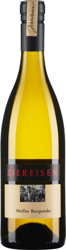 Die Weinflasche besitzt ein schlankes, elegantes Design mit einem klaren, goldgelben Inhalt, der durch das Glas schimmert. Das Etikett ist in einem hellen Cremeton gehalten, darauf befindet sich ein auffälliger, horizontaler schwarzer Streifen mit kontras