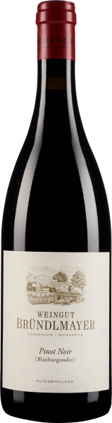 Weinflasche mit rotem Verschluss und cremefarbenem Etikett, schlichte, elegante Präsentation.