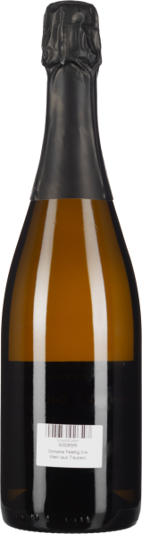 Braune Sektflasche mit schwarzem Hals und schwarzem Etikett auf Glas.