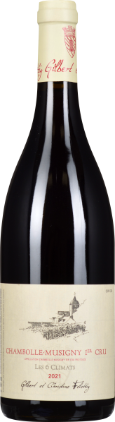 Eine elegante Weinflasche mit dunkelrotem Inhalt, ausgestattet mit einem cremefarbenen Etikett und passendem Verschluss. Das Etikett zeigt eine skizzierte Landschaftsszene und rote Schrift.