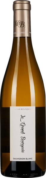 Eine elegante Flasche Weißwein mit einem minimalistischen Etikett und einem glänzenden, silbernen Flaschenverschluss. Die Flüssigkeit hat einen klaren, goldgelben Farbton.