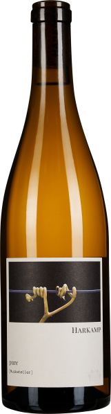 Braune Weinflasche mit elegantem, minimalistischem Etikett, das eine Weinranke auf dunklem Hintergrund zeigt.