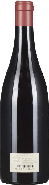 Dunkle Weinflasche mit rotem Verschluss, elegant und schlicht gestaltet.