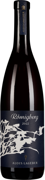 Weinflasche mit dunkelblauem Etikett, das weiße grafische Linien und florale Elemente zeigt; dunkler Flaschenkörper und eleganter Verschluss.