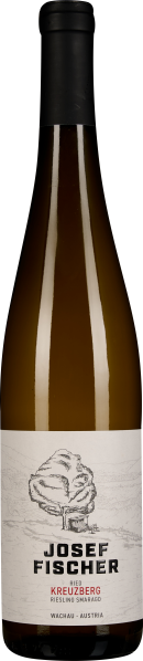 Eine schlanke Weinflasche mit dunklem Hals und heller Etikette. Auf der Etikette ist eine skizzierte Darstellung einer Landschaft mit einem Baum. Der Wein hat eine klare, goldene Farbe.