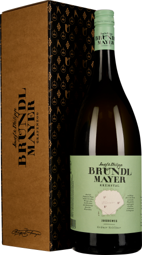 Die Abbildung zeigt eine Weinflasche mit hellgrünem Etikett und passendem Schraubverschluss. Links daneben befindet sich eine elegante, braune Geschenkbox mit dezenten schwarz-goldenen Mustern und Akzenten.