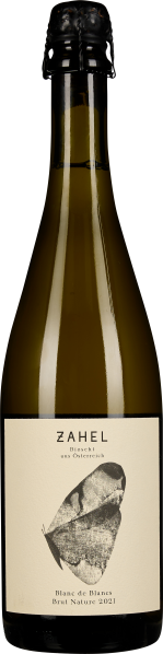Grüne Sektflasche mit schwarzem Verschluss, minimalistisch gestaltetes Etikett in Beige mit schwarz-weißem Blattmotiv.