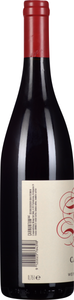 Dunkle Weinflasche mit rotem Verschluss und elegantem Etikett.