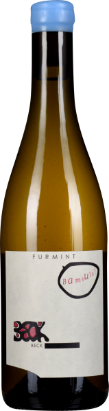 Eine Weinflasche mit hellblauem Verschluss und schlichtem, cremefarbenem Etikett mit minimalistischen, grafischen Elementen in Schwarz und Rot.