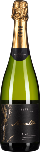 Grüne Sektflasche mit goldener Folie und elegantem schwarzem Etikett.