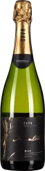 Grüne Sektflasche mit goldener Folie und elegantem schwarzem Etikett.