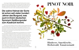 Pflanzenzweig mit bunten Blättern und Früchten auf weißem Hintergrund.