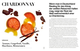 Sliced citrus fruits, vanilla pods, and roasted nuts artfully arranged on white background.