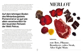 Rote Bete, Steak, Pflaume, Brombeeren und Schokolade auf weißem Hintergrund arrangiert.