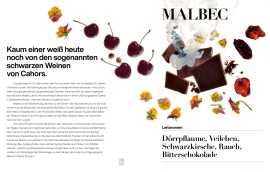 Dunkle Schokolade, Rauch, Kirschen, Blüten und getrocknete Früchte vor weißem Hintergrund.