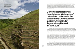 Weinberg mit terrassierten Reben auf Hügel vor blauem Himmel und Wolken.